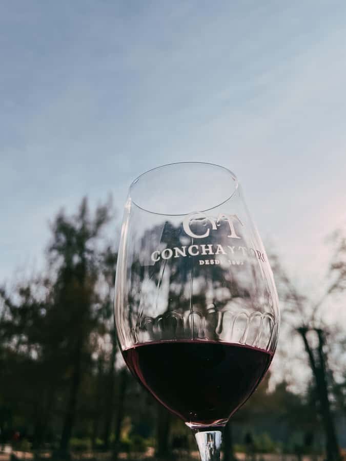 Santiago: Concha y Toro with transfer, tasting & gift cup - Key things to know before you go