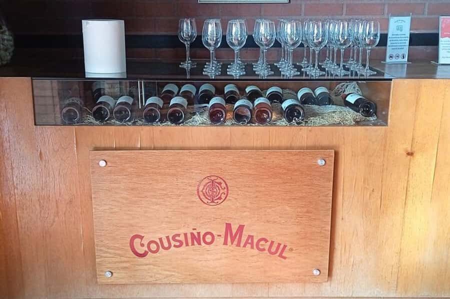 Santiago: Cousiño Macul Vineyard Premium Tasting Tour - Should You Book This Cousiño Macul Premium Tasting Tour?
