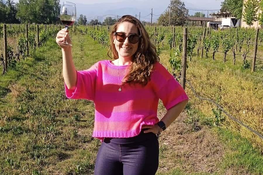 Santiago: Cousiño Macul Vineyard Premium Tasting Tour - Cousiño Macul Grounds: Vineyard Walk and Historic Estate Feel