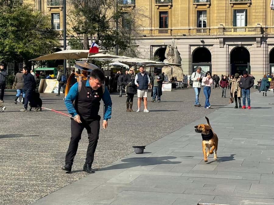Santiago Half-Day Walking Tour with Hotel Pick up & Brunch - Downtown walking around Plaza de Armas and the Cathedral inside