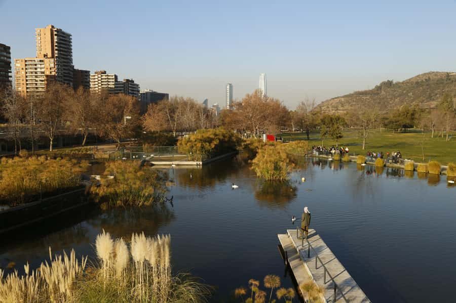 Santiago Half-Day Walking Tour with Hotel Pick up & Brunch - Bicentenario Park, lagoons, and native birds