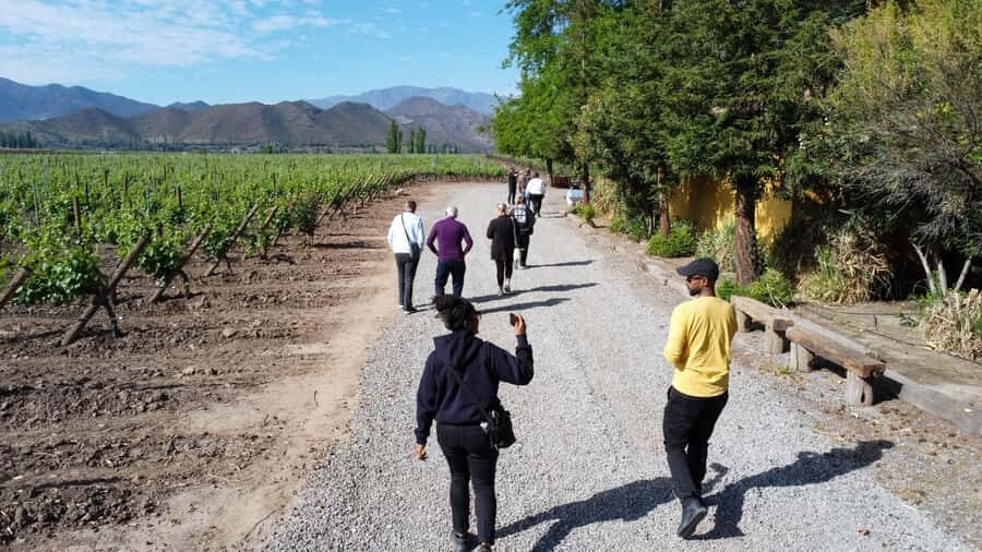 Santiago: Inca Lagoon Tour with Local Vineyard and Tasting - Portillo and Laguna del Inca at high altitude
