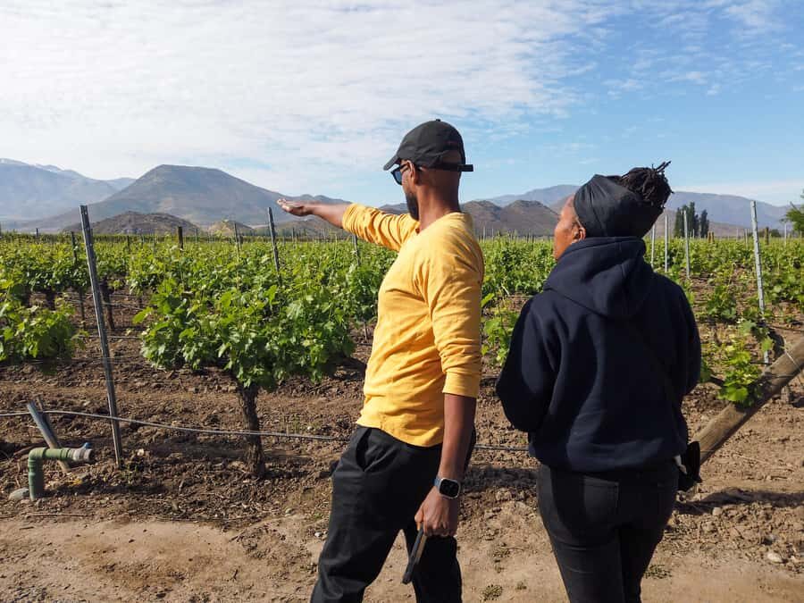 Santiago: Inca Lagoon Tour with Local Vineyard and Tasting - The return loop: more viewpoints, then llamas