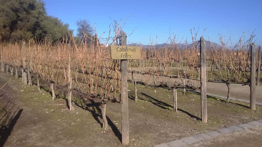 Santiago: Main Chilean Wineries Private Half-Day Tours - FAQ