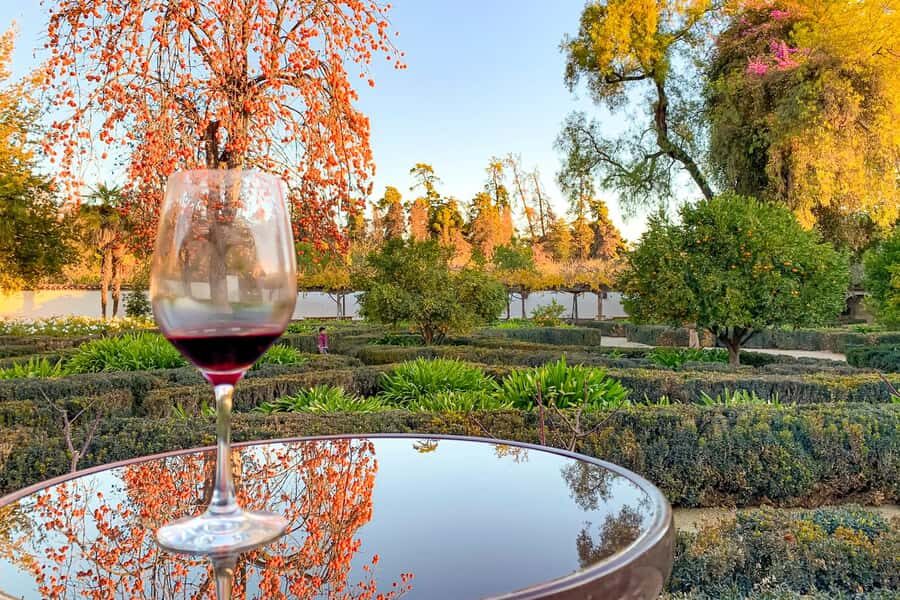 Santiago: Main Chilean Wineries Private Half-Day Tours - Picking Your Winery: Santa Rita vs Undurraga vs Concha y Toro vs Cousiño Macul