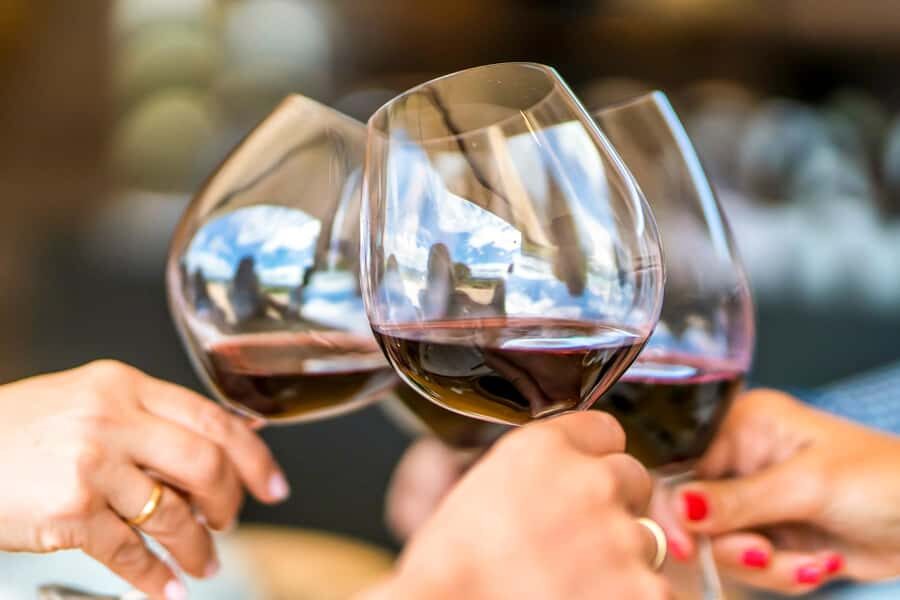 Santiago: Main Chilean Wineries Private Half-Day Tours - Best For (and Who Should Skip This One)