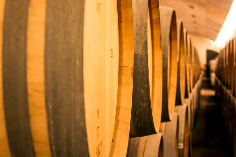 Santiago: Main Chilean Wineries Private Half-Day Tours - Tips to Get More from Your Winery Day