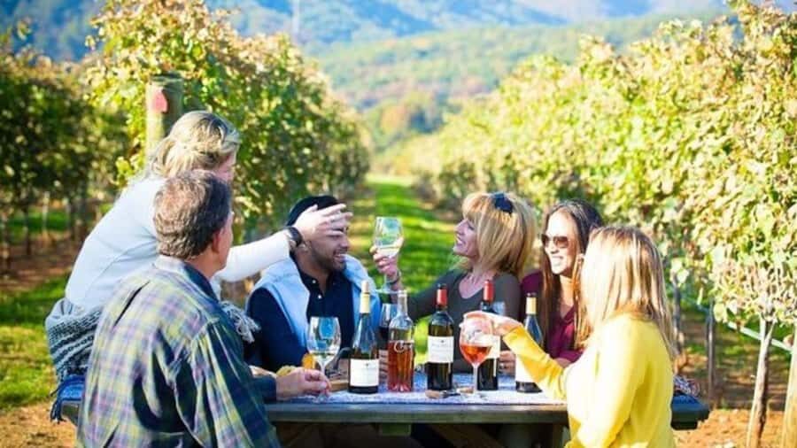 Santiago: Maipo Valley Wine Tasting Tour with 4 Vineyards - Key things I’d plan around