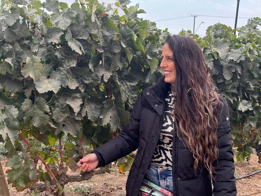 Santiago: Maipo Valley Wine Tasting Tour with 4 Vineyards - Why Maipo Valley is the smart play from Santiago
