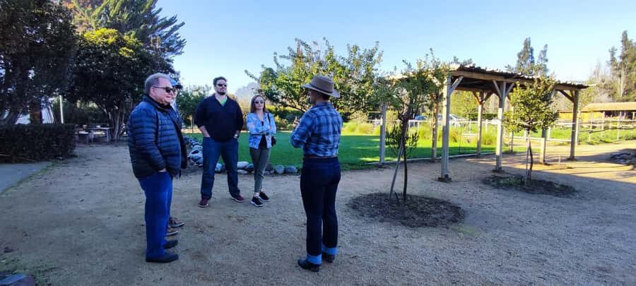 Santiago: Maipo Valley Wine Tasting Tour with 4 Vineyards - TerraMater: lunch break plus olive oil with cellar pricing