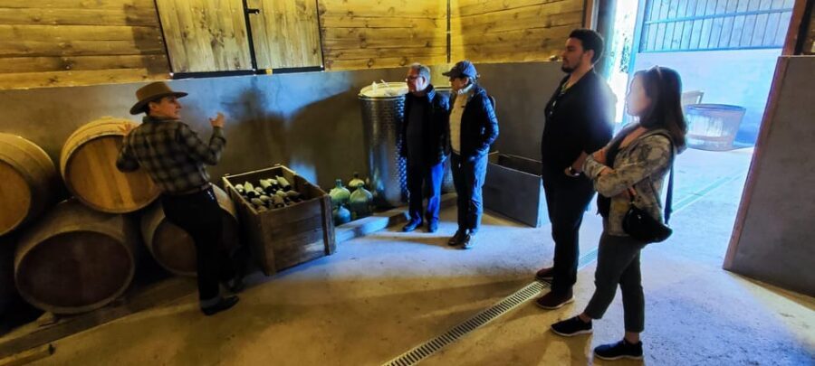 Santiago: Maipo Valley Wine Tasting Tour with 4 Vineyards - How to drink well on a 10-hour wine day