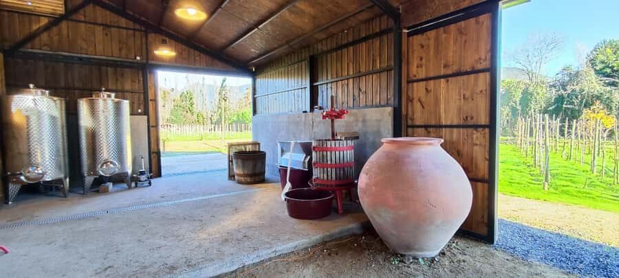 Santiago: Maipo Valley Wine Tasting Tour with 4 Vineyards - Guides, pace, and why the small-group setup works