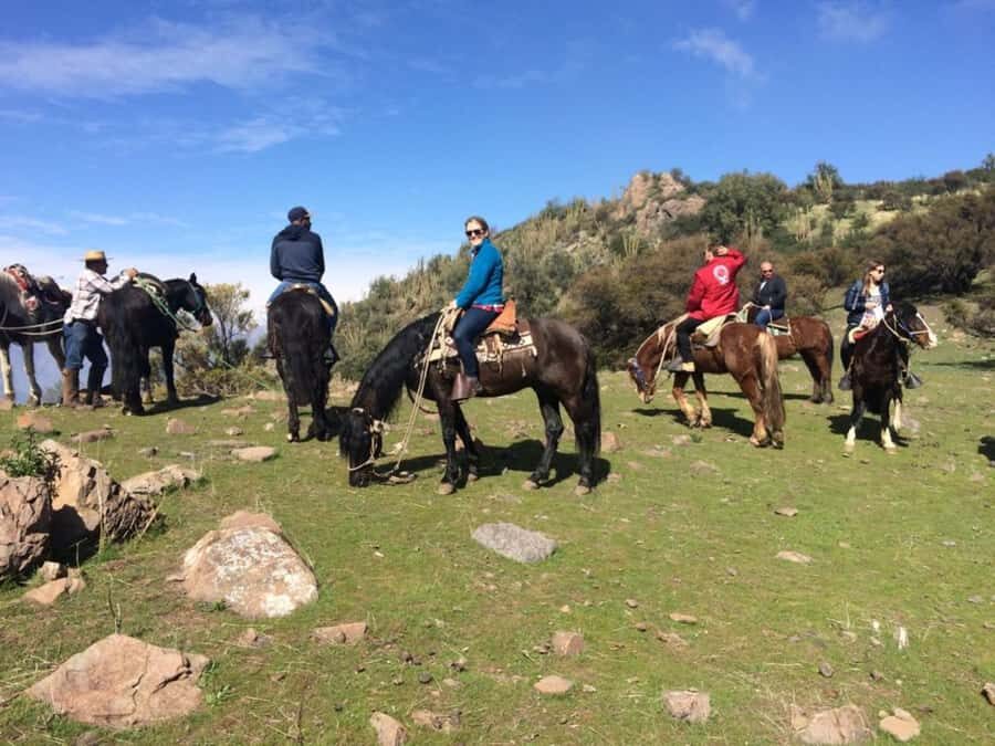 Santiago: Private Andes Foothills Horseback Riding. Half day - The uphill climb through native forest and toward Andean tundra