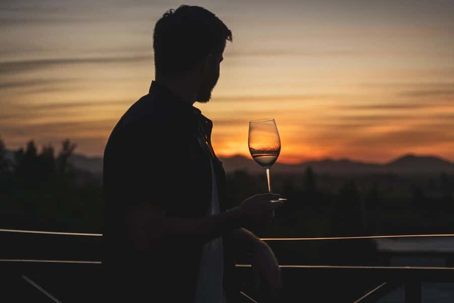 Santiago: Sunset at Vinicola Alyan Family - Should You Book Vinicola Alyan Family Sunset at Santa Rita?