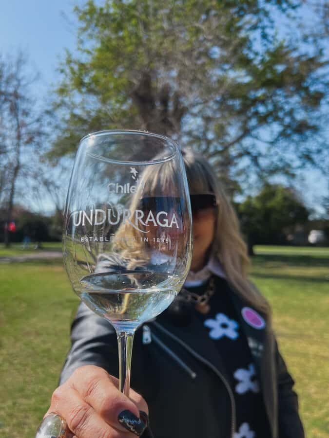 Santiago: Tour to Isla Negra, Algarrobo and Undurraga Wines - Quick Hits