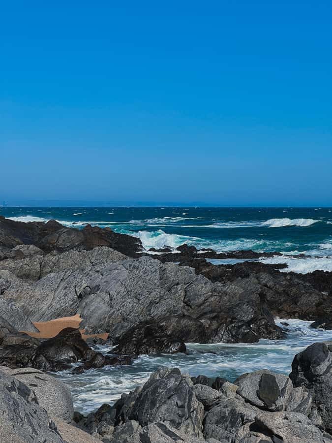 Santiago: Tour to Isla Negra, Algarrobo and Undurraga Wines - Price and Value: Is $76 a Fair Deal?