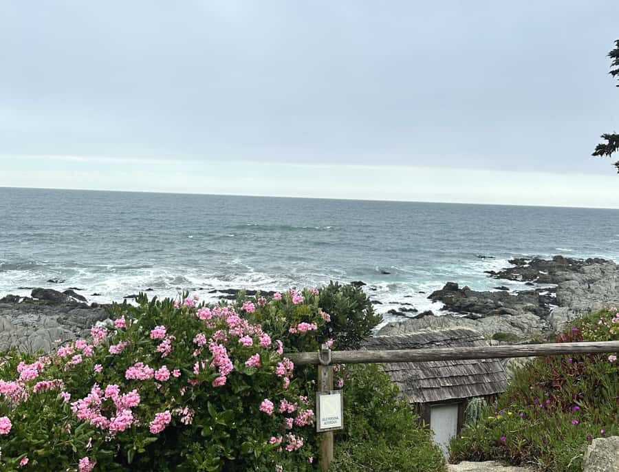 Santiago: Tour to Isla Negra, Algarrobo and Undurraga Wines - Who This Tour Fits Best (And Who Might Want Something Else)