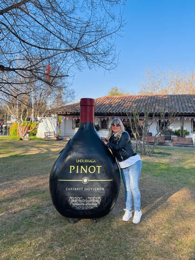 Santiago: Undurraga Winery Tour with Entry and Wine Tasting - Key highlights you’ll care about