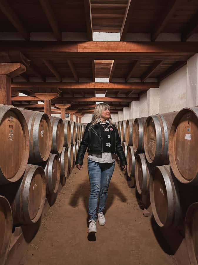 Santiago: Undurraga Winery Tour with Entry and Wine Tasting - Gardens walk and vineyard tour: spotting grape varieties and learning what drives the flavors