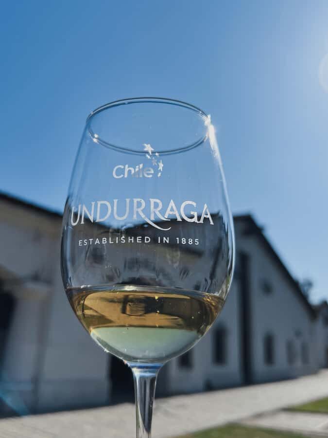 Santiago: Undurraga Winery Tour with Entry and Wine Tasting - The cellars and the Museum of the Mapuche People: why this stop adds meaning