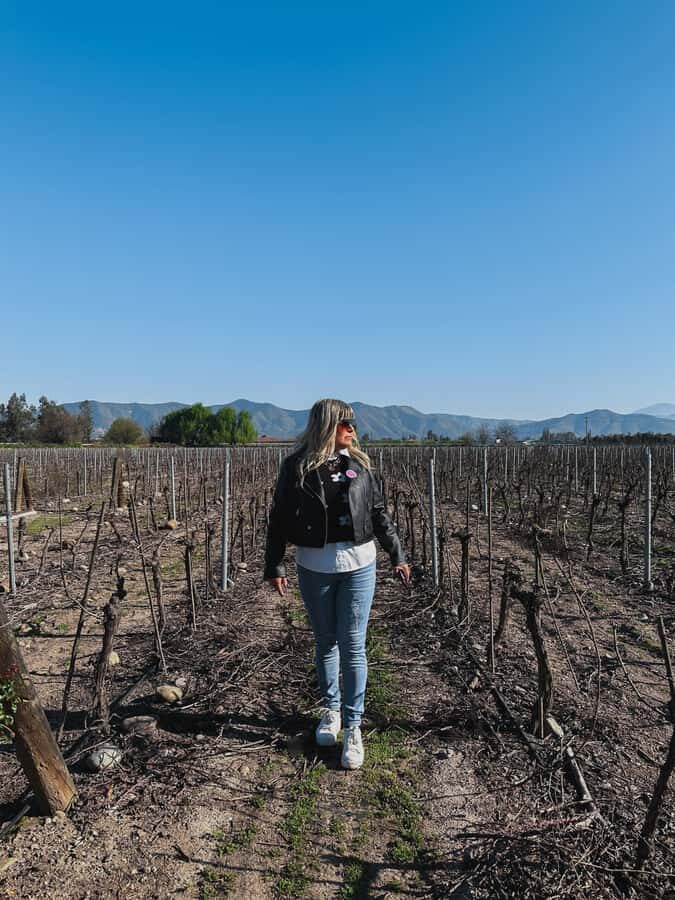 Santiago: Undurraga Winery Tour with Entry and Wine Tasting - Four wine tastings: how the format helps you compare instead of just drink