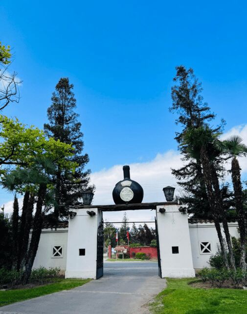 Santiago: Undurraga Winery Tour with Entry and Wine Tasting - The wine shop stop: taking the story home with bottles and local products