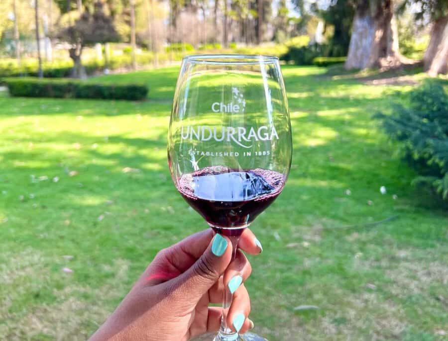 Santiago: Undurraga Winery Tour with Entry and Wine Tasting - Who should book this Undurraga tour—and who might want to rethink it