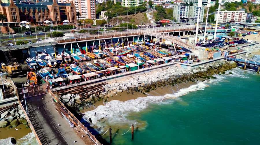 Santiago: Viña del Mar, Valparaiso, with Wine Tasting - Lunch Time: Choose Your Own Spot in the Right Area