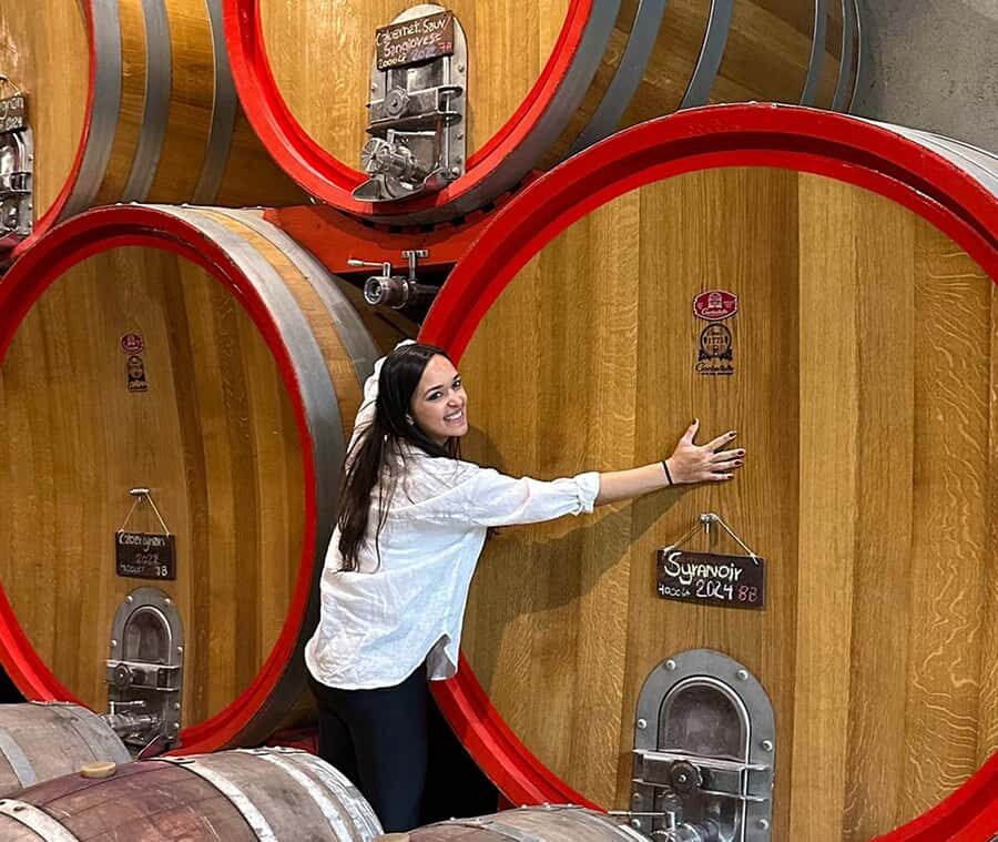 Santiago: World-class Wines, Visit to 4 Vineyards and Tanino - Key moments you’ll remember from this wine tour