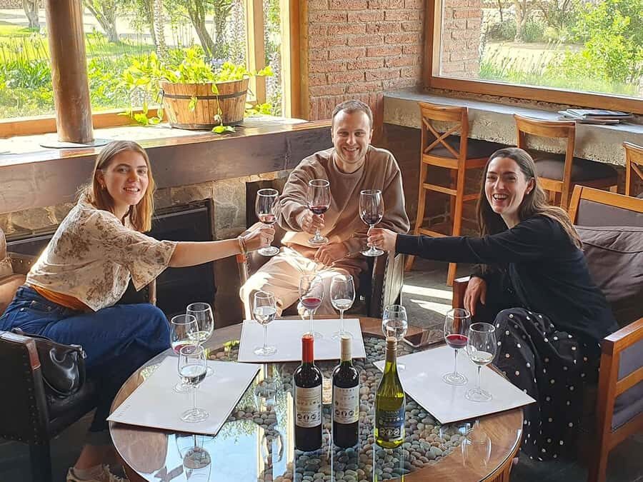 Santiago: World-class Wines, Visit to 4 Vineyards and Tanino - Casablanca Valley from Santiago: why this route works