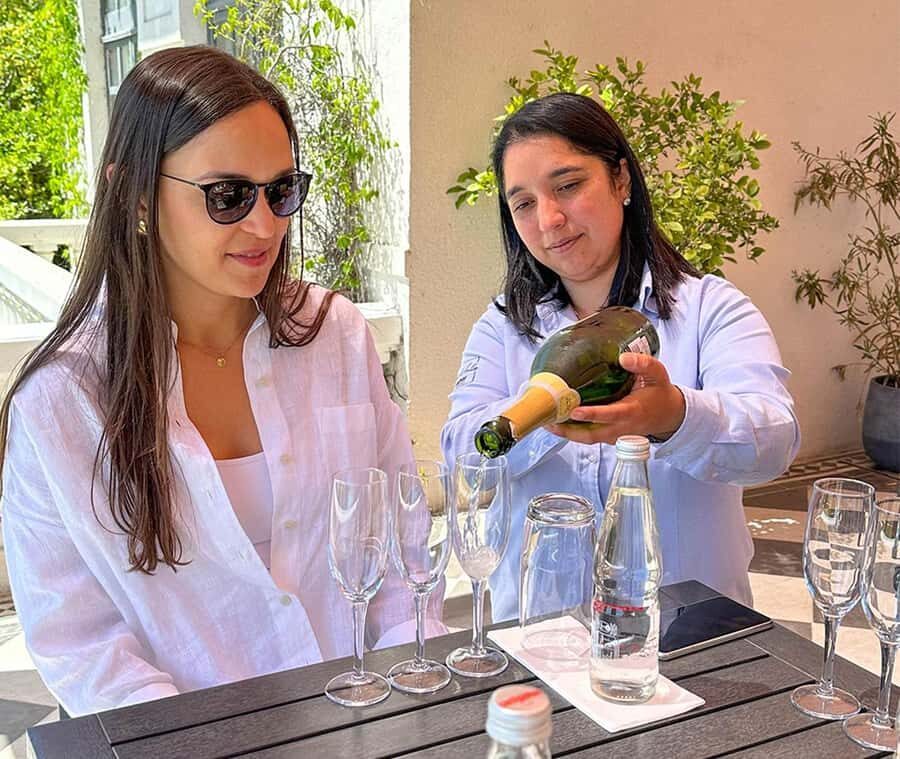 Santiago: World-class Wines, Visit to 4 Vineyards and Tanino - Casas del Bosque and Tanino lunch: the setting is the star