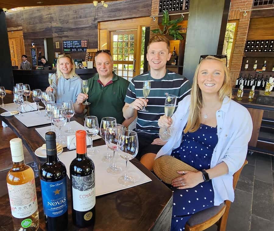 Santiago: World-class Wines, Visit to 4 Vineyards and Tanino - Tastings: how to get the most from every pour