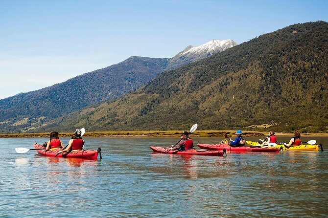 Sea Kayaking the first fjord of Patagonia - Wildlife moments: sea lions, dolphins, and friends in the fjord air