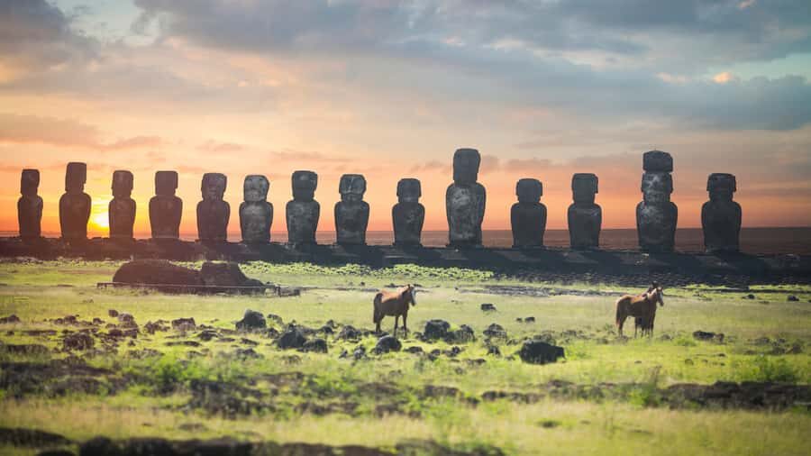 Sunrise Tongariki: Sunrise at Tongariki Park Private Tour - Languages, Guide Style, and How the Tour Actually Feels