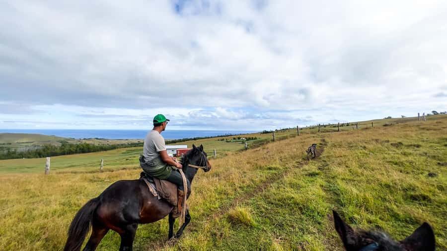 Terevaka Horse Excursion: The highest point and 360° view. - Riding Across the Island’s Open Terrain