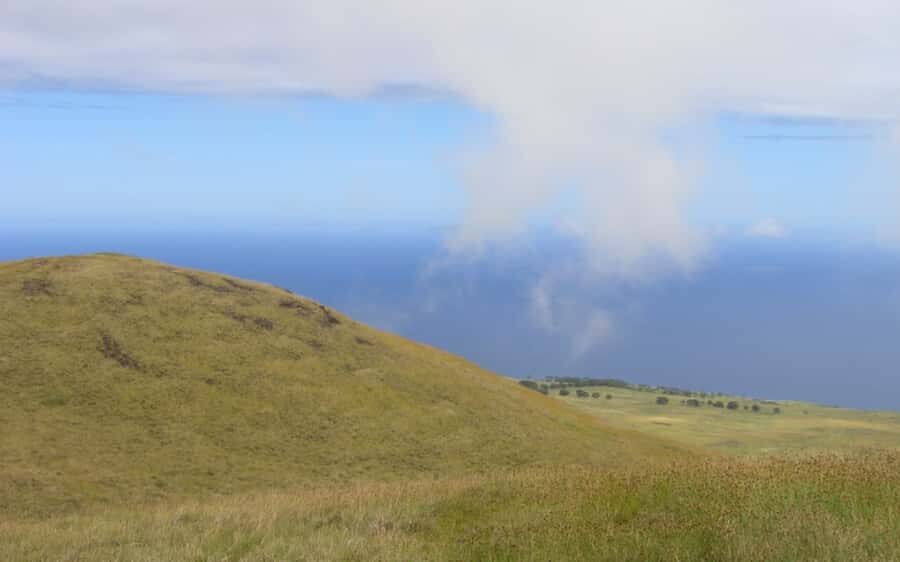 Terevaka Horse Excursion: The highest point and 360° view. - Horses, Safety, and What Equipment You’ll Have