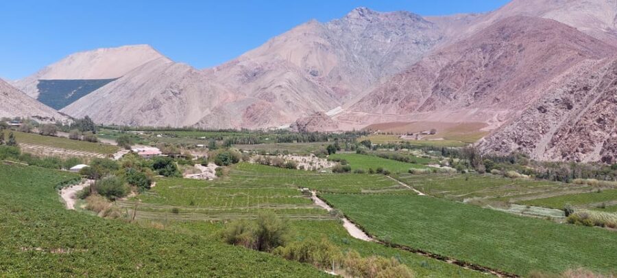 The Magnificient Elqui Valley Grand Tour - Why the Elqui Valley grand tour is worth a full day