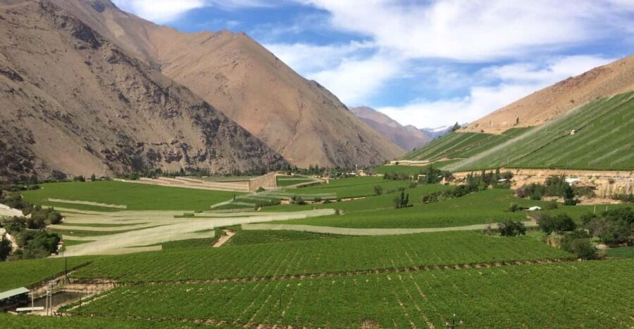 The Magnificient Elqui Valley Grand Tour - Paihuano to Vicuña: first views, then the Gabriela Mistral link