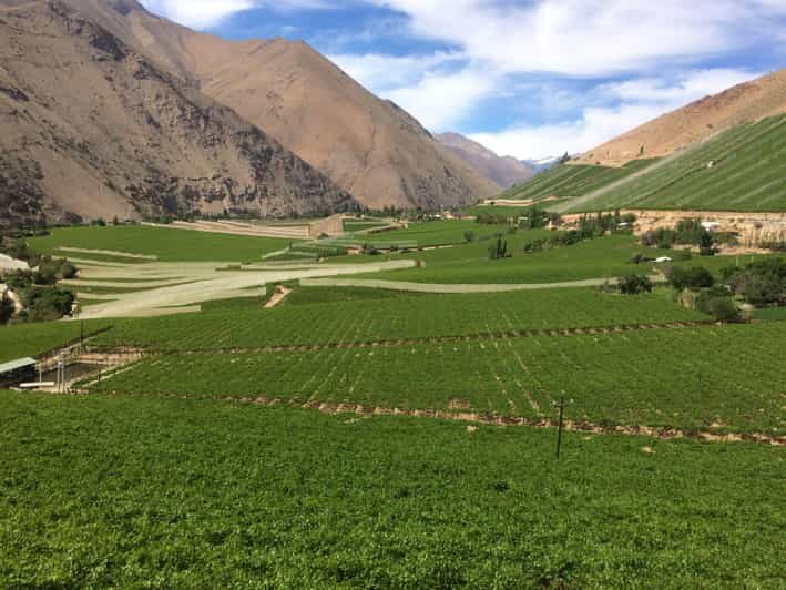 The Magnificient Elqui Valley Grand Tour - Puclaro Dam and Capel: learning through practical stops