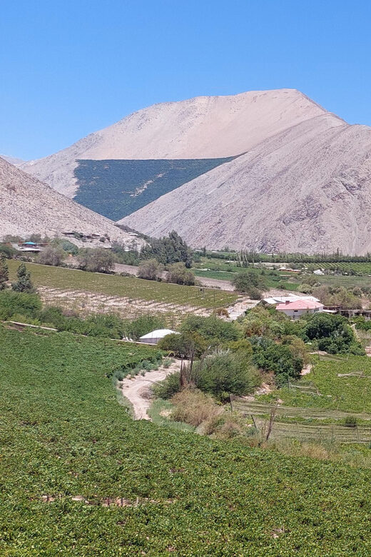 The Magnificient Elqui Valley Grand Tour - El Molle and El Tambo: stepping into indigenous village life