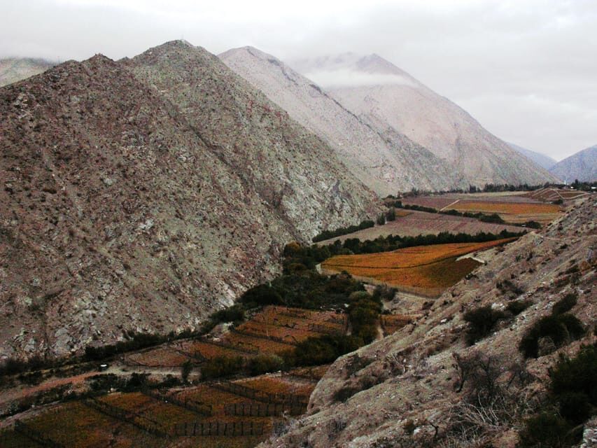 The Magnificient Elqui Valley Grand Tour - Entre Cordilleras: the solar-cooking lunch that makes the day feel local
