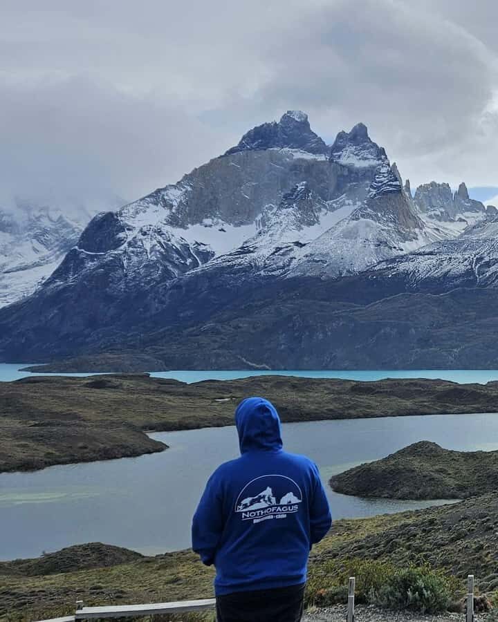 Torres del Paine: Full Day Excursion Torres del Paine + Milodon Cave. - The van, the small group, and how the day stays coordinated