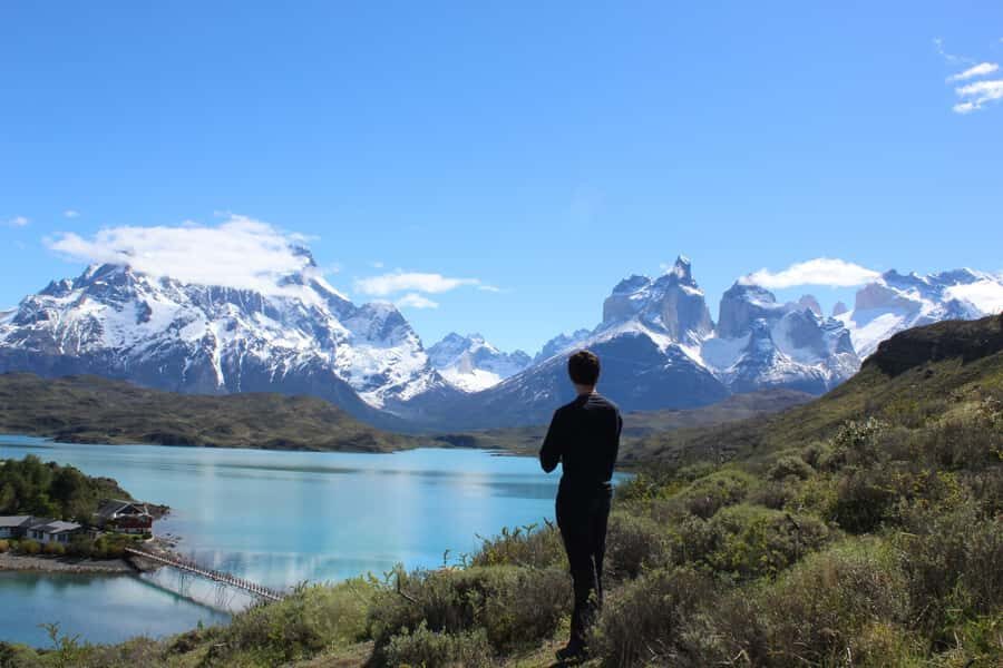 Torres del Paine Park Full-Day Tour from Puerto Natales - Wildlife and Plantlife Lessons at Laguna Amarga and Beyond