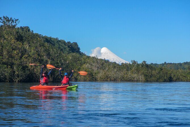 Tour Guiado en Kayak por Rio Maullin / Medío dia en Pto. Varas - Birds, underwater plants, and the calm that makes the photos easier