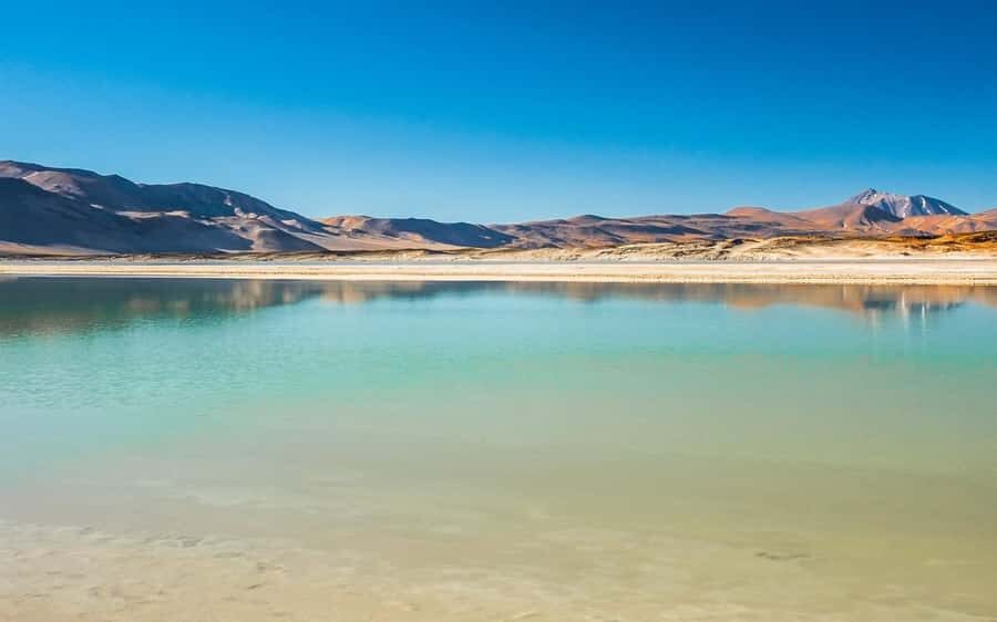 Tour Piedras Rojas + Altiplanic Lagoons + Chaxa Lagoon - Price and Logistics: Tickets, Timing, and the Real Total Cost