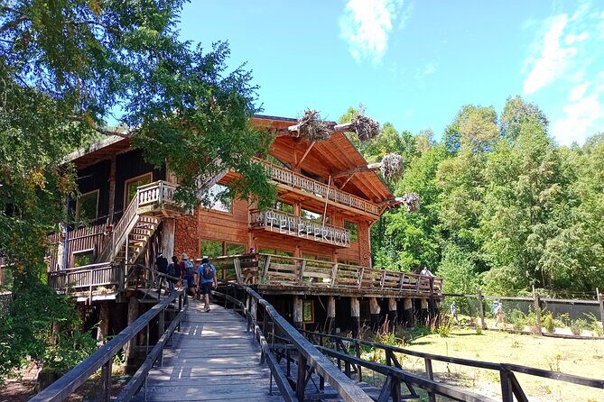 Tour to Huilo Huilo from Pucón, Villarrica - Why a Huilo Huilo Day Trip From Pucón Makes Sense