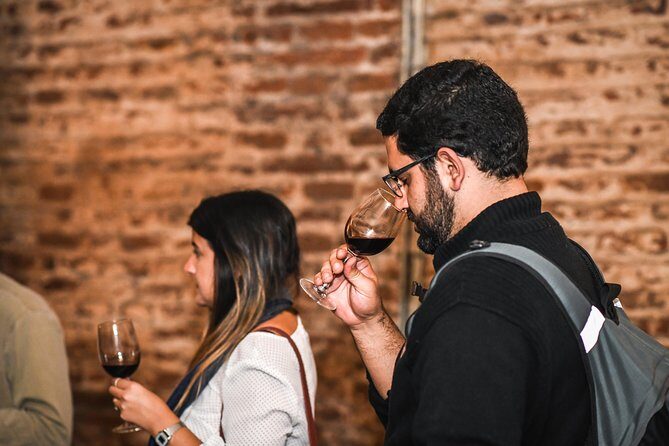 "Tour Tradicional" Viña Cousiño Macul Oficial portugués - The wine tasting: three glasses and a simple structure