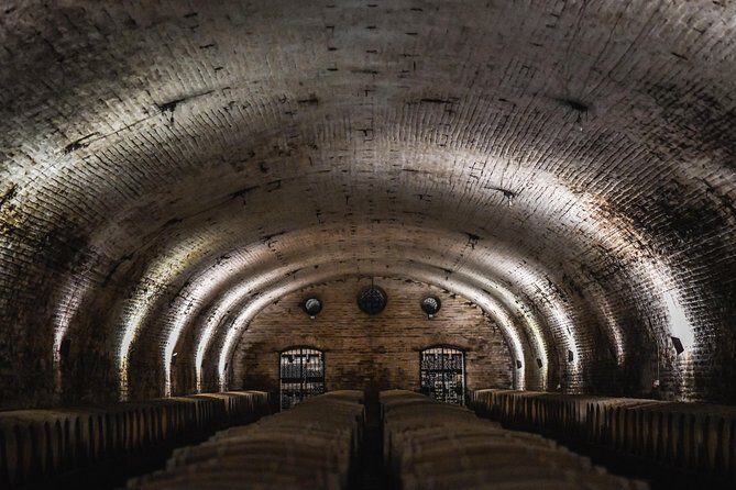 "Tour Tradicional" Viña Cousiño Macul Oficial portugués - How to judge value: $26 for a structured, memorable visit