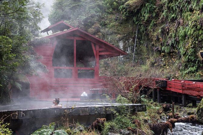 Trekking Mirador el volcano + Geometric hot springs - Araucarias to the volcano skirt: your best moments (and your weather check)