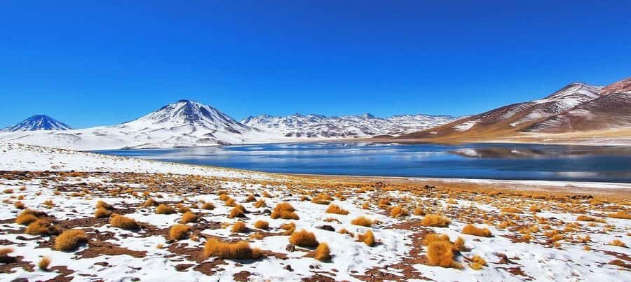 Triple tour: Red stones, highland lagoons and Chaxa Lagoon - A Full-Day “3-in-1” Loop Through Atacama’s Contrasts
